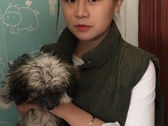 上海长宁区流浪猫狗宠物小动物收养收容救助领养中心基地站