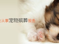 北京寵物火化