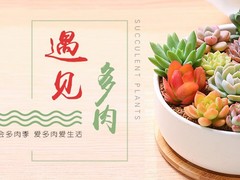 邯郸园林公司