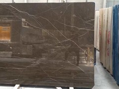 新华星