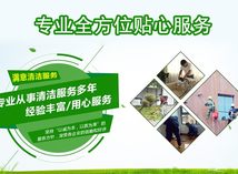 圖片7
