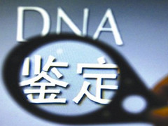 东莞亲子鉴定中心
