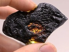哈佈斯堡國際拍賣有限公司