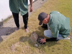 呼和浩特杀虫灭鼠公司