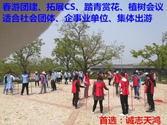 誠志天鴻