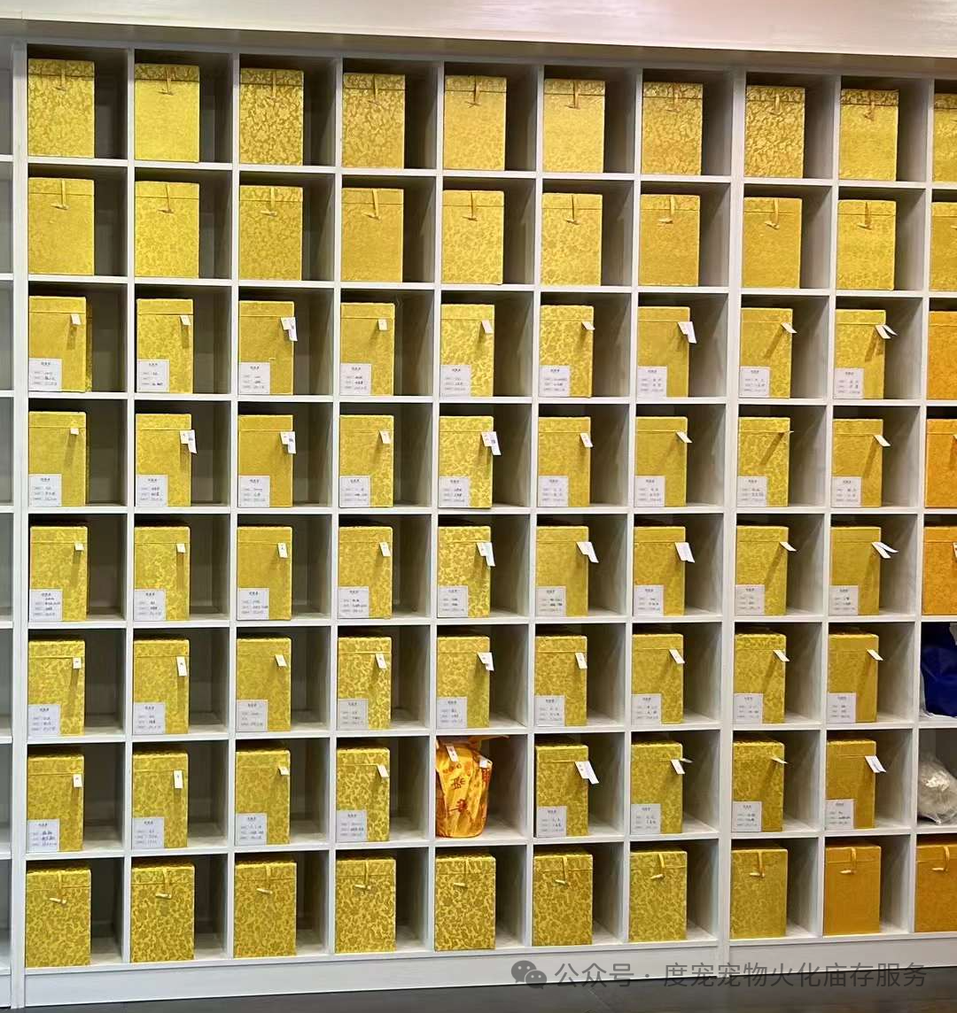 北京寵物火化