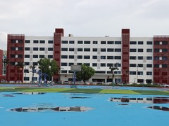 东莞橡果教育
