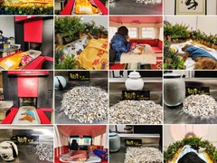 大连宠物标本制作
