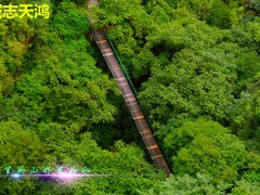 誠(chéng)志天鴻
