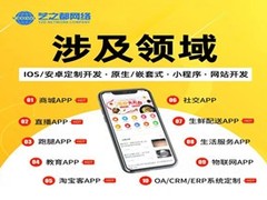 艺之都网络公司