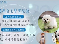 广州博爱犬舍