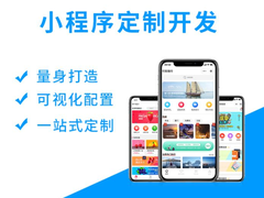 临沂系统开发公司
