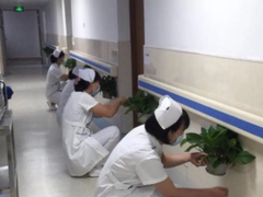 威海园林养护