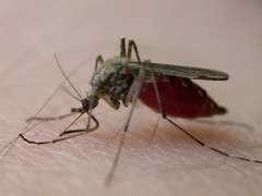 上格生物科技有限公司