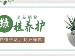 海口滨江鲜花绿植园圃