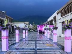 进贤庆典公司