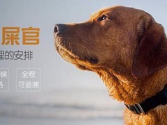 大连宠物服务有限公司