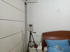 皇苹果除甲醛公司