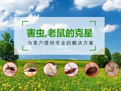 潍坊杀虫灭鼠公司