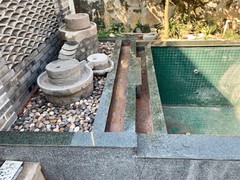 淄博锦鲤领养