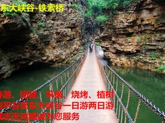 诚志天鸿