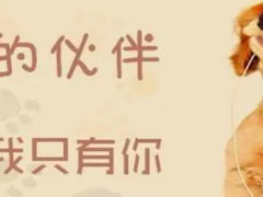 山东浩然犬舍
