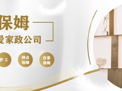 成都家政公司