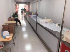 河南大果转租网1