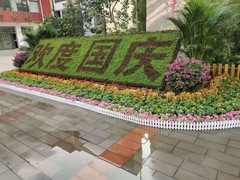 天津绿红园花卉