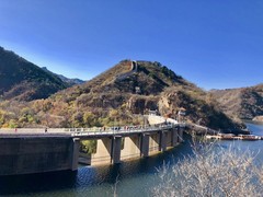 诚志天鸿