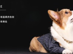 天津宠物火化