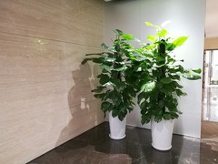 威海园林公司