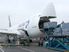扶余DHL