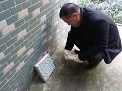 宁波灭蟑螂公司