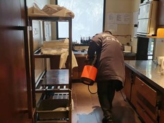 绵阳灭鼠公司