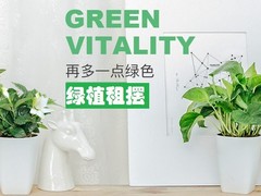 天津植物租摆