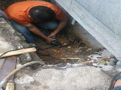 上海信胜诚水管检测技术工程有限公司