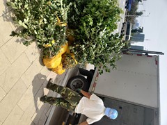 沈阳别墅庭院设计施工
