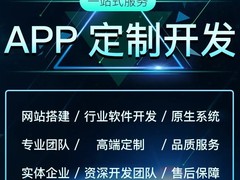 临沂系统开发公司