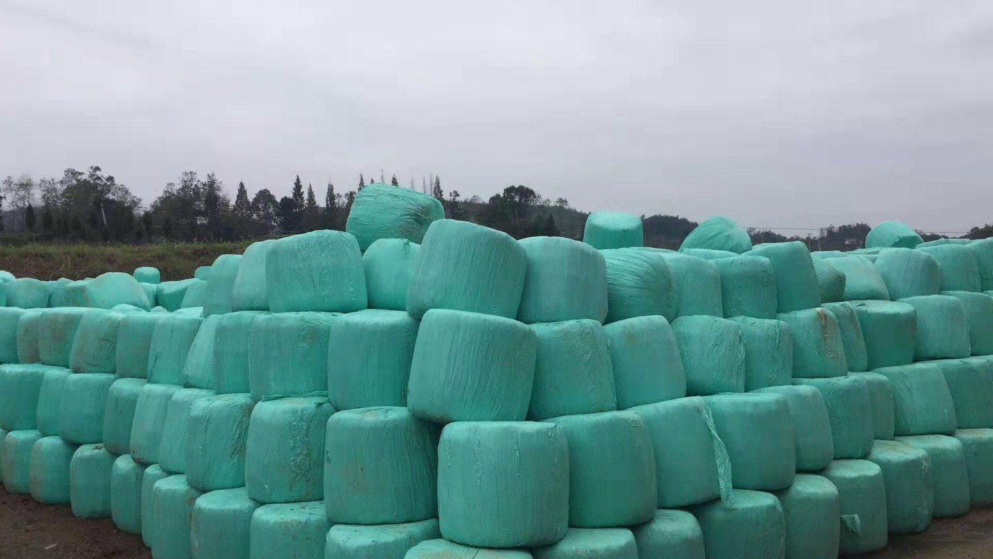 全自动秸秆青贮打捆机青贮流程