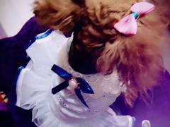 宏大犬业