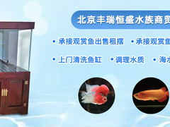 北京鱼缸维护