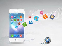 大连系统开发公司