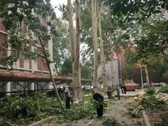 南通园林景观公司