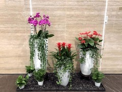 海南尚谷植颜园林景观有限公司