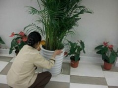 唐山高压清洗