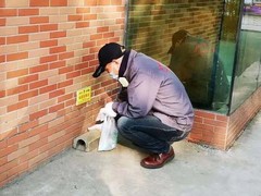 绵阳灭鼠公司