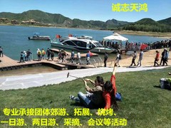 誠(chéng)志天鴻