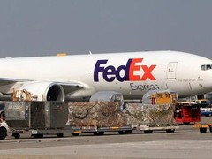 饶阳DHL