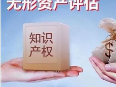成都资产评估公司